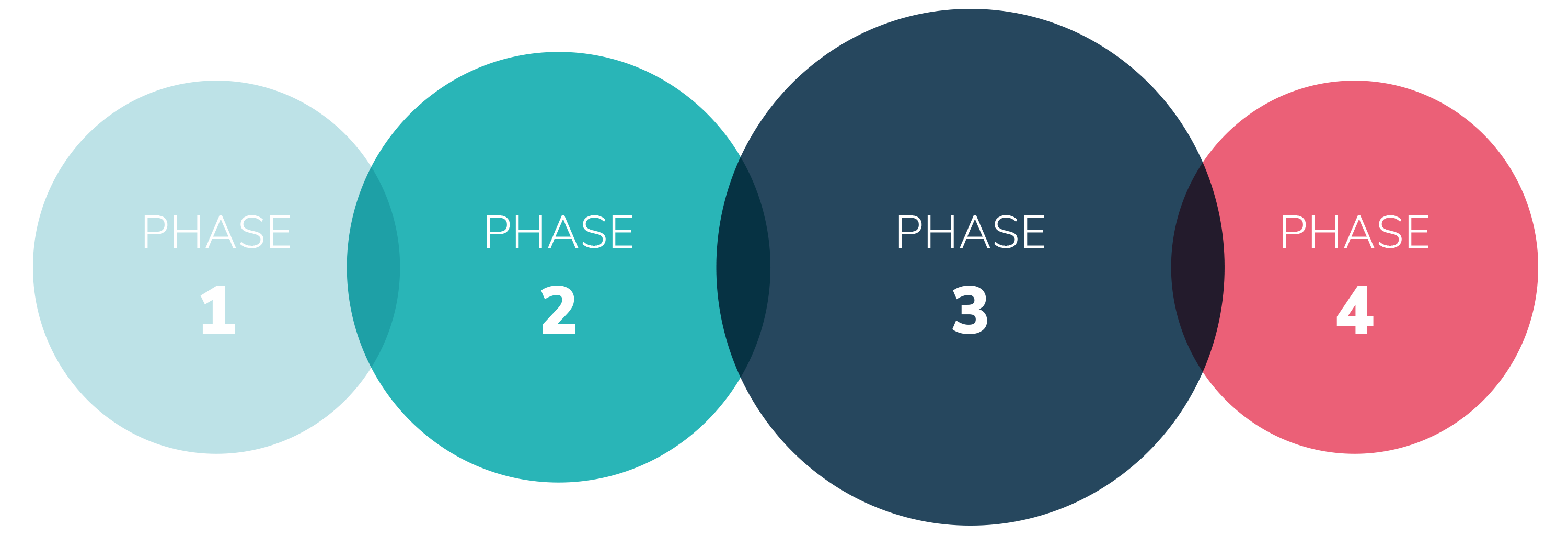 SCOPE International info graphic clinical study phases